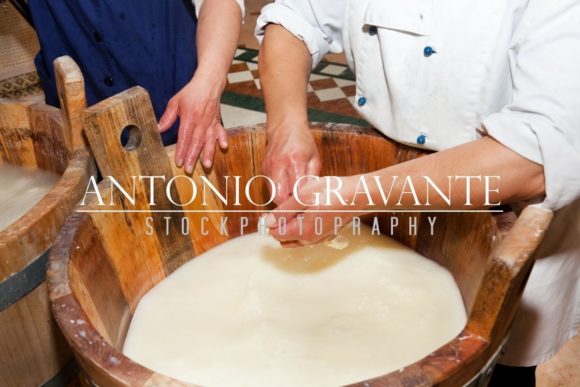 Download Production Handmade Craftsmanship of Mozzarella - Craftsmanship Collection