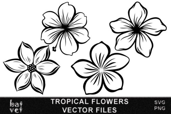 Download Tropical Flower SVG Vector Bundle Design - Sign Collection